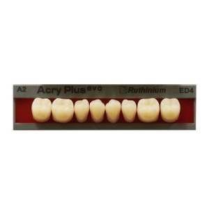 RUTHINIUM ACRY PLUS EVO DENTI ARTIFICIALI IN PMMA 4 STRATI DIATORICI INFERIORI - COD. 0120039
