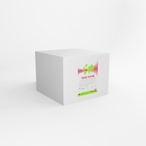 TECHIM GESSO TISSOTROPICO PER TECNICHE AD ALTE PRESTAZIONI - COD. GES000091